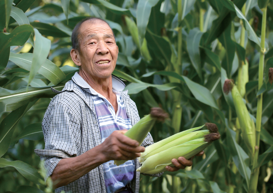 金融白领在扶贫一线：大梁山里的玉米脱贫故事
